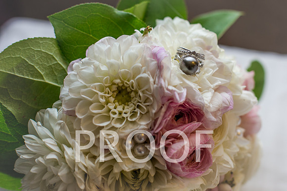 September 20, 2013-IMG_2846_preview
