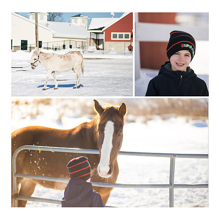 Adan Farm Collage