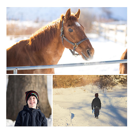 adan farm collage-2