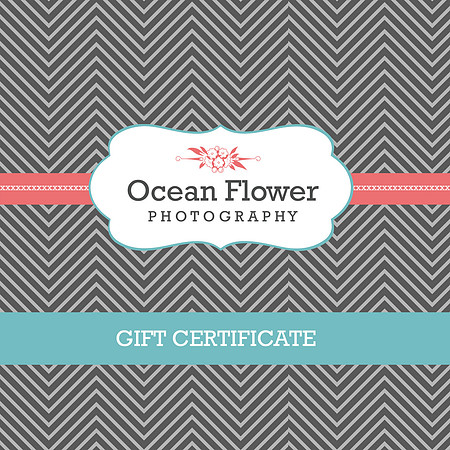 OFP Gift Certificate